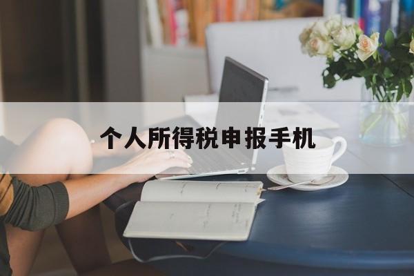 个人所得税申报手机(个人所得税申报手机app下载)